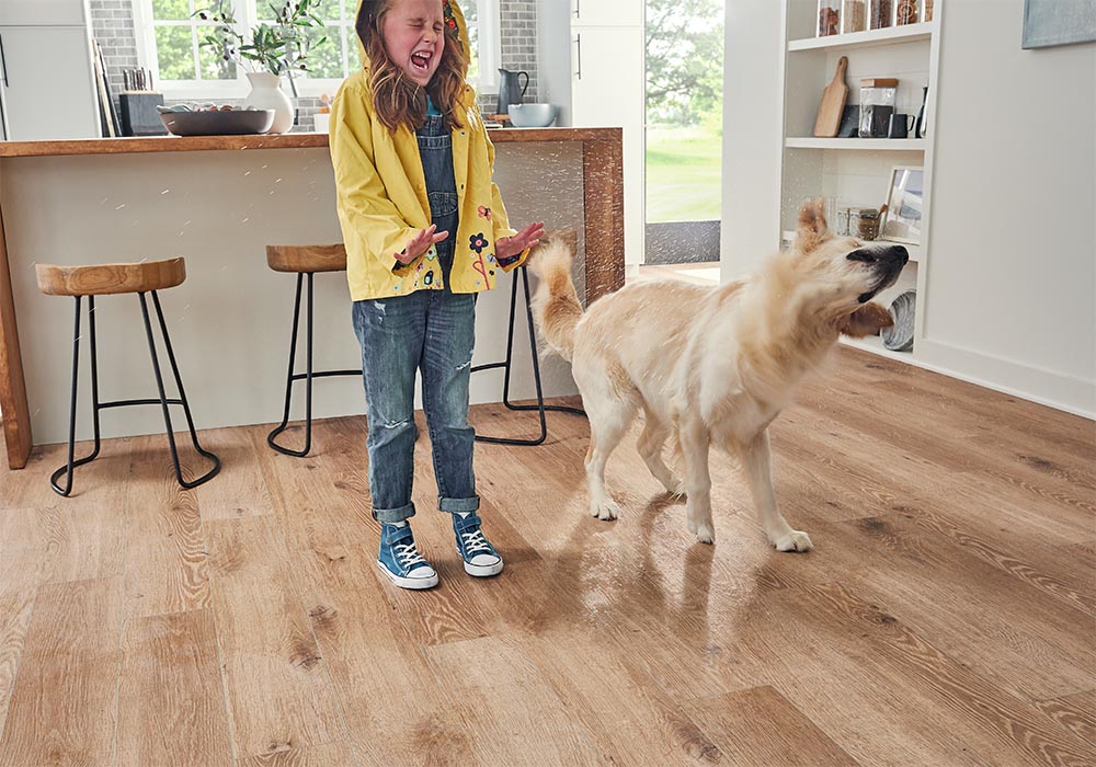 Dog on Flooring | COLORTILE of Salem